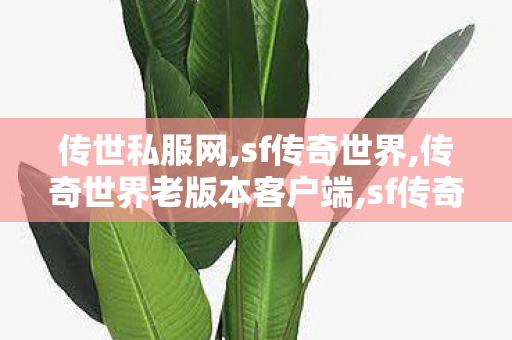 传世私服网,sf传奇世界,传奇世界老版本客户端,sf传奇世界