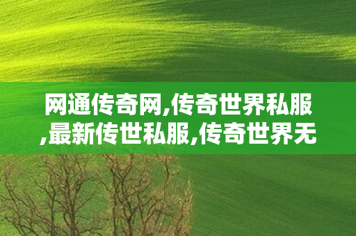 网通传奇网,传奇世界私服,最新传世私服,传奇世界无元神区,传奇世界私服,最新传世私服