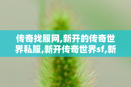 传奇找服网,新开的传奇世界私服,新开传奇世界sf,新开的传奇世界私服