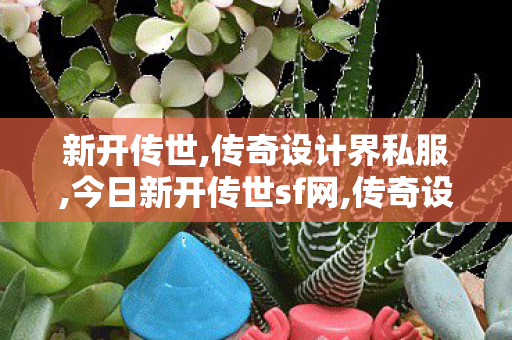 新开传世,传奇设计界私服,今日新开传世sf网,传奇设计界私服