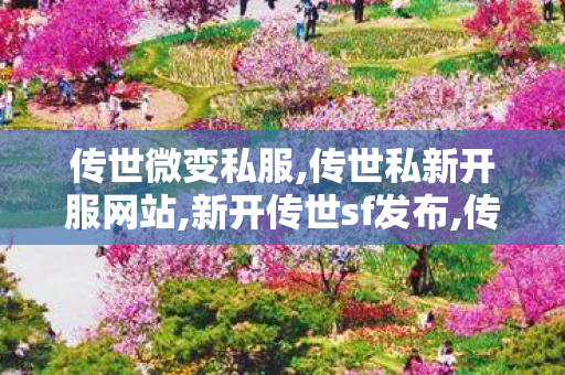 传世微变私服,传世私新开服网站,新开传世sf发布,传世私新开服网站