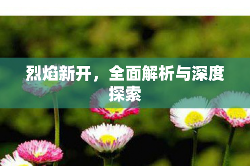 烈焰新开，全面解析与深度探索
