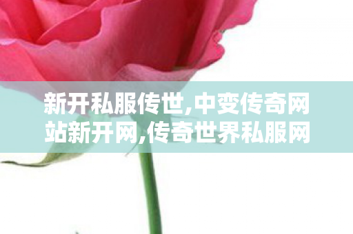 新开私服传世,中变传奇网站新开网,传奇世界私服网址,中变传奇网站新开网