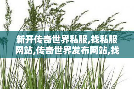 新开传奇世界私服,找私服网站,传奇世界发布网站,找私服网站