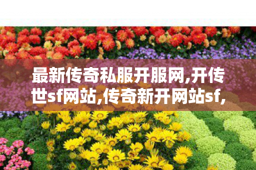 最新传奇私服开服网,开传世sf网站,传奇新开网站sf,开传世sf网站