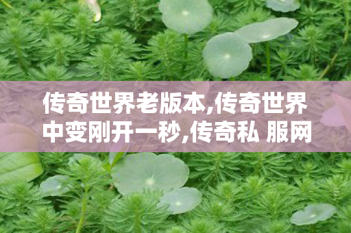传奇世界老版本,传奇世界中变刚开一秒,传奇私 服网站,传奇世界中变刚开一秒