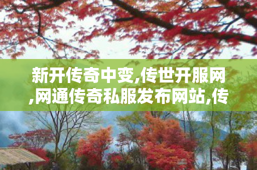 新开传奇中变,传世开服网,网通传奇私服发布网站,传世开服网