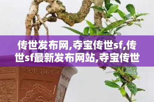 传世发布网,夺宝传世sf,传世sf最新发布网站,夺宝传世sf