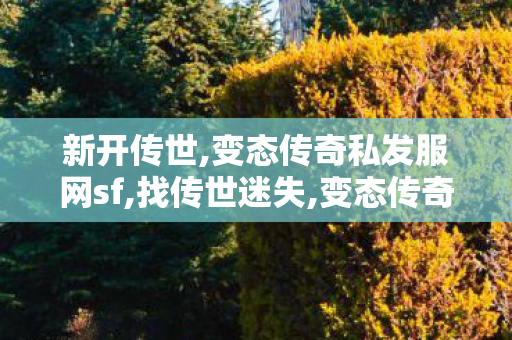 新开传世,变态传奇私发服网sf,找传世迷失,变态传奇私发服网sf