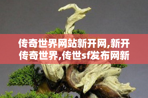 传奇世界网站新开网,新开传奇世界,传世sf发布网新服,新开传奇世界
