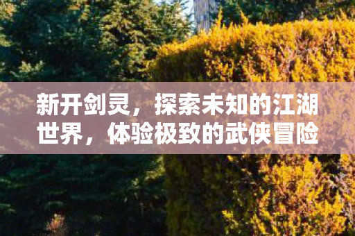 新开剑灵，探索未知的江湖世界，体验极致的武侠冒险之旅