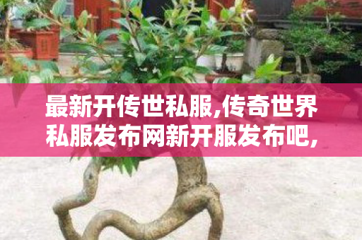 最新开传世私服,传奇世界私服发布网新开服发布吧,传奇世界最新版本,传奇世界私服发布网新开服发布吧