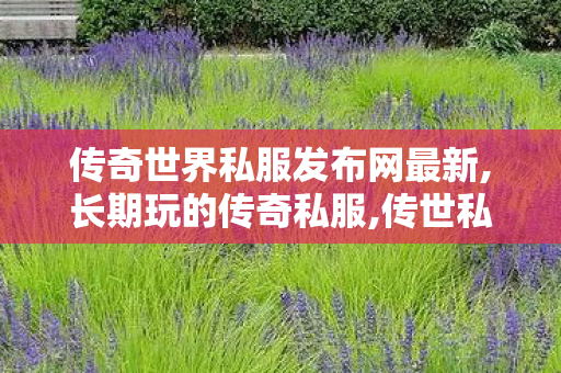 传奇世界私服发布网最新,长期玩的传奇私服,传世私服发布网,长期玩的传奇私服