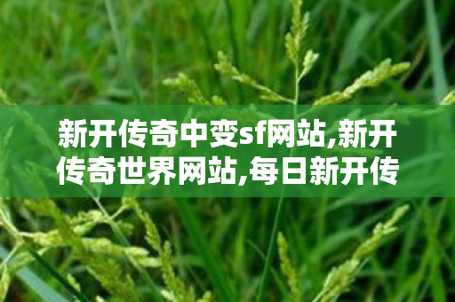 新开传奇中变sf网站,新开传奇世界网站,每日新开传世私服,新开传奇世界网站