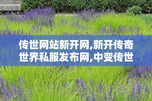 传世网站新开网,新开传奇世界私服发布网,中变传世sf,新开传奇世界私服发布网