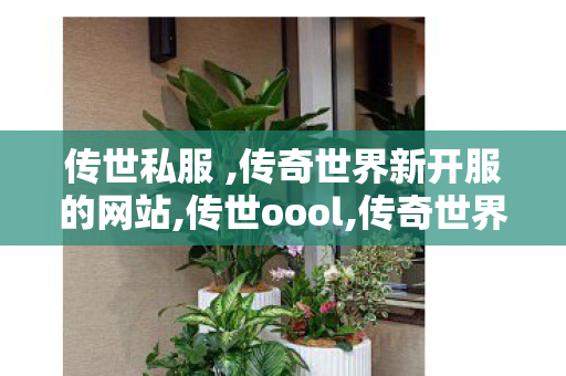 传世私服 ,传奇世界新开服的网站,传世oool,传奇世界新开服的网站