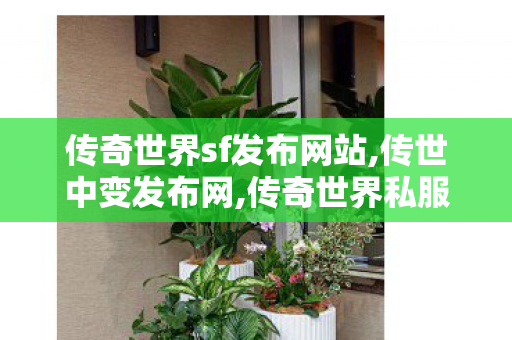 传奇世界sf发布网站,传世中变发布网,传奇世界私服新开,传世中变发布网