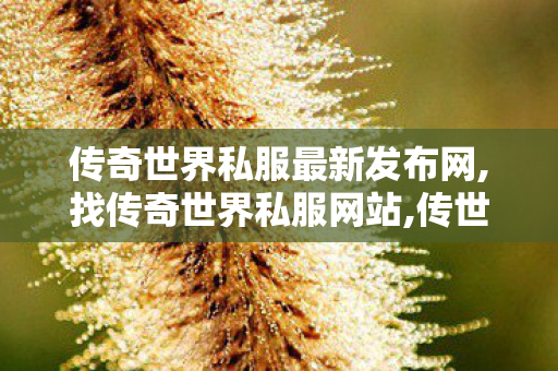 传奇世界私服最新发布网,找传奇世界私服网站,传世sf手游,找传奇世界私服网站