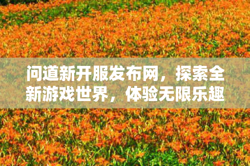 问道新开服发布网，探索全新游戏世界，体验无限乐趣