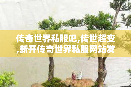 传奇世界私服吧,传世超变,新开传奇世界私服网站发布网,传世超变