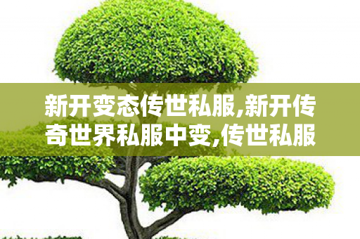 新开变态传世私服,新开传奇世界私服中变,传世私服平台大全,新开传奇世界私服中变