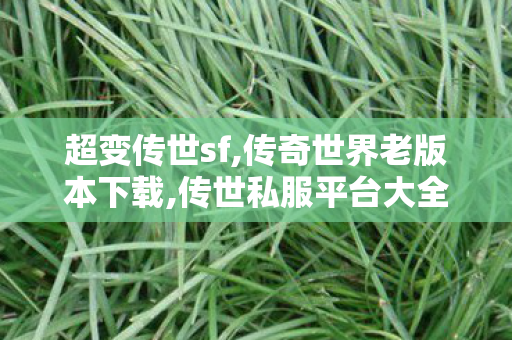 超变传世sf,传奇世界老版本下载,传世私服平台大全,传奇世界老版本下载