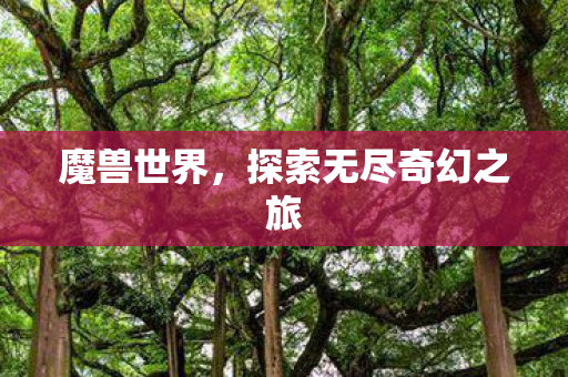 魔兽世界，探索无尽奇幻之旅