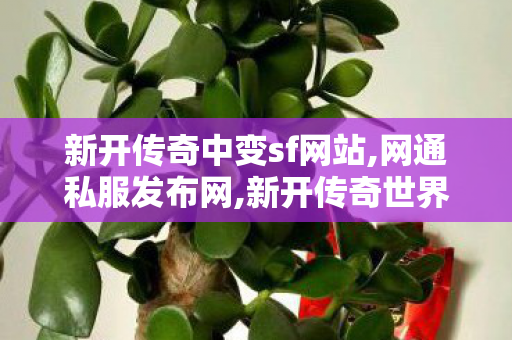 新开传奇中变sf网站,网通私服发布网,新开传奇世界私服网站发布网,网通私服发布网