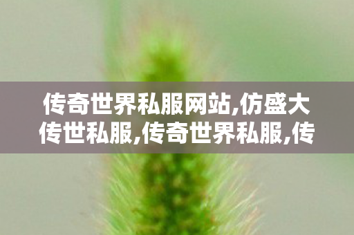 传奇世界私服网站,仿盛大传世私服,传奇世界私服,传世私服新开,仿盛大传世私服