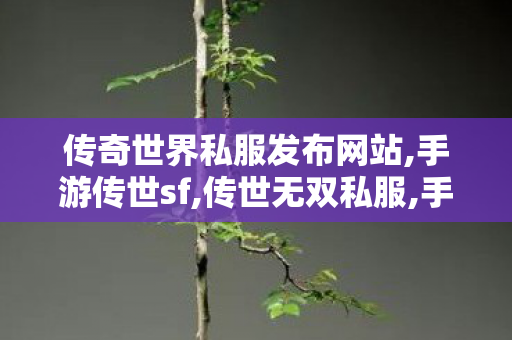 传奇世界私服发布网站,手游传世sf,传世无双私服,手游传世sf