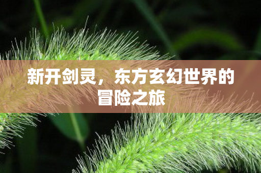 新开剑灵，东方玄幻世界的冒险之旅