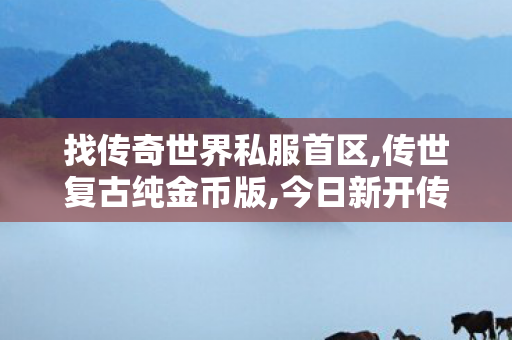 找传奇世界私服首区,传世复古纯金币版,今日新开传世sf网,传世复古纯金币版