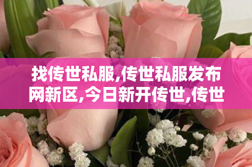 找传世私服,传世私服发布网新区,今日新开传世,传世私服发布网新区