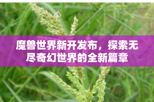 魔兽世界新开发布，探索无尽奇幻世界的全新篇章