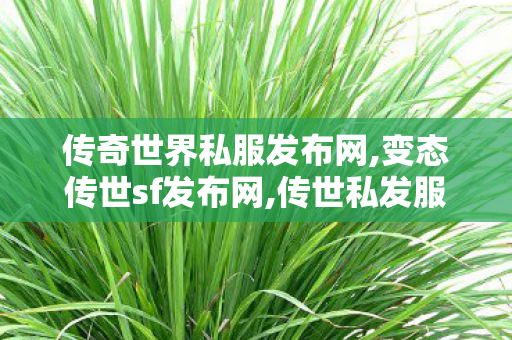 传奇世界私服发布网,变态传世sf发布网,传世私发服网,变态传世sf发布网