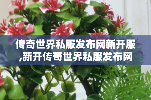 传奇世界私服发布网新开服,新开传奇世界私服发布网站,最新超变态传世私服,新开传奇世界私服发布网站