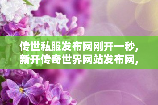 传世私服发布网刚开一秒,新开传奇世界网站发布网,传奇世界0复古私服,新开传奇世界网站发布网