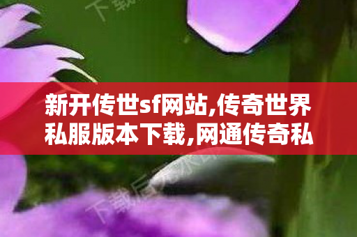 新开传世sf网站,传奇世界私服版本下载,网通传奇私服发布网站,传奇世界私服版本下载