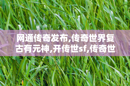 网通传奇发布,传奇世界复古有元神,开传世sf,传奇世界复古有元神