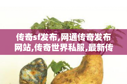 传奇sf发布,网通传奇发布网站,传奇世界私服,最新传世私服,网通传奇发布网站
