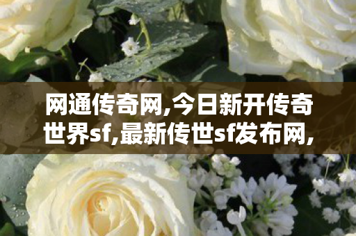 网通传奇网,今日新开传奇世界sf,最新传世sf发布网,今日新开传奇世界sf