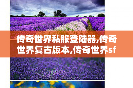 传奇世界私服登陆器,传奇世界复古版本,传奇世界sf网站,传奇世界复古版本