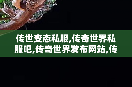 传世变态私服,传奇世界私服吧,传奇世界发布网站,传奇世界私服吧