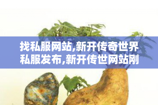 找私服网站,新开传奇世界私服发布,新开传世网站刚开一秒,新开传奇世界私服发布