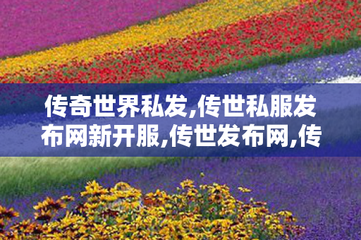 传奇世界私发,传世私服发布网新开服,传世发布网,传世私服发布网新开服