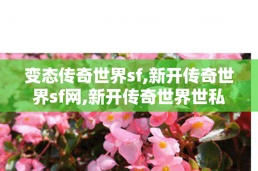变态传奇世界sf,新开传奇世界sf网,新开传奇世界世私服,新开传奇世界sf网