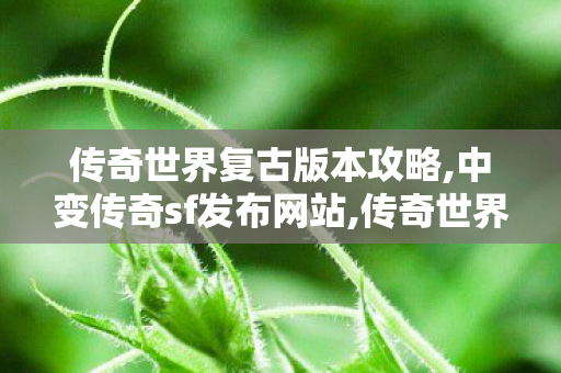 传奇世界复古版本攻略,中变传奇sf发布网站,传奇世界sf发布网,中变传奇sf发布网站