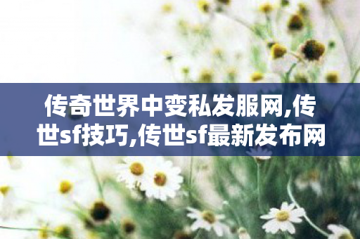 传奇世界中变私发服网,传世sf技巧,传世sf最新发布网站,传世sf技巧