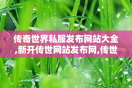 传奇世界私服发布网站大全,新开传世网站发布网,传世官网,新开传世网站发布网
