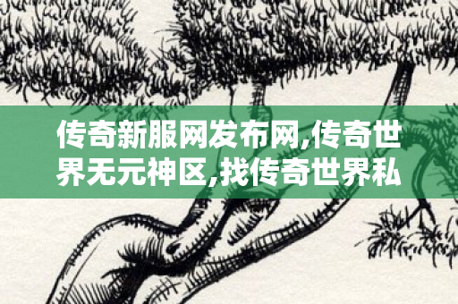 传奇新服网发布网,传奇世界无元神区,找传奇世界私服,传奇世界无元神区